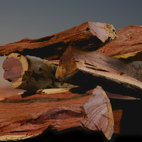 Kameeldoring Braai Wood - BBQ Fuel